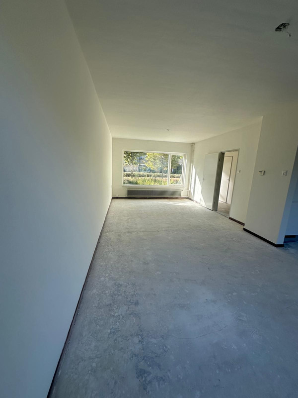 House Image 5