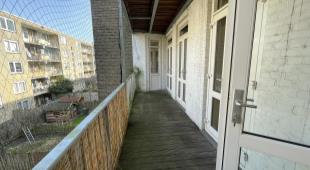 House Exterior