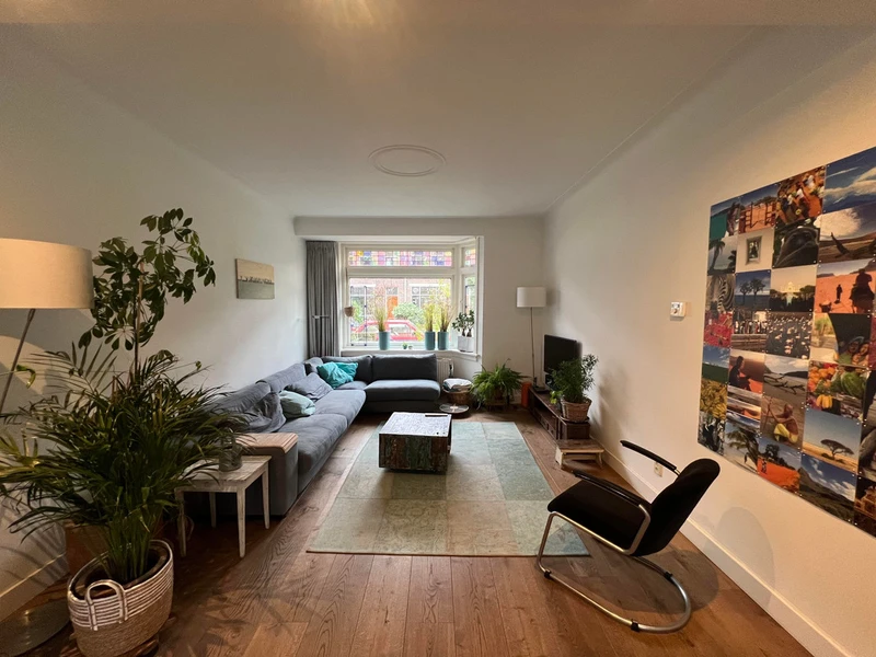 latest house