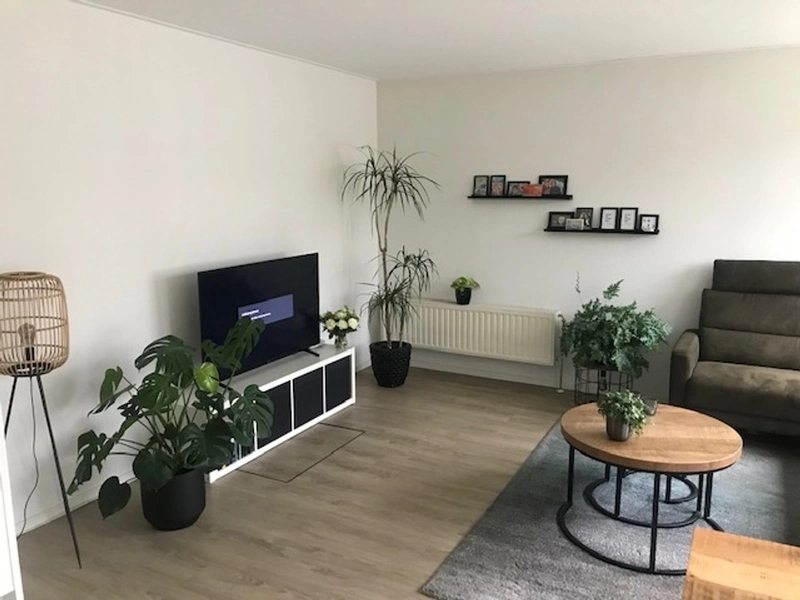 House Image 5