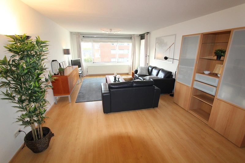 House Image 4