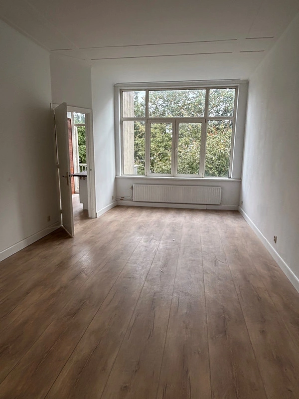 House Image 4