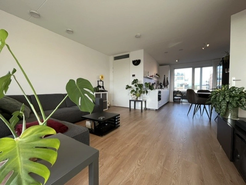 House Image 5