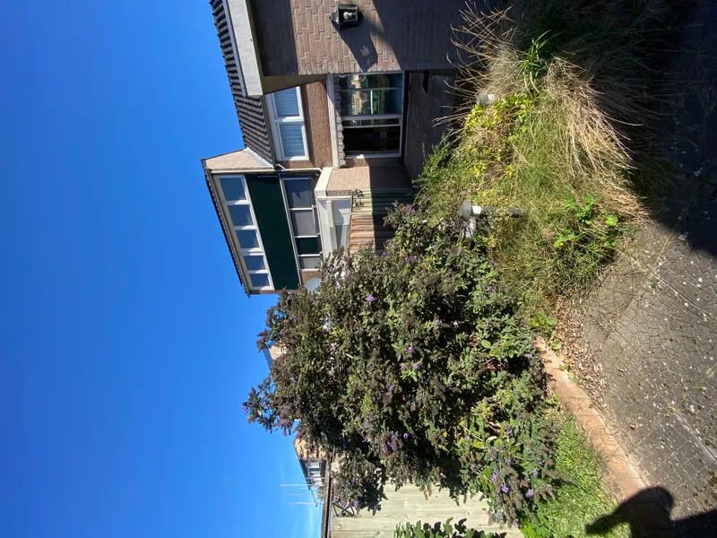 House Exterior