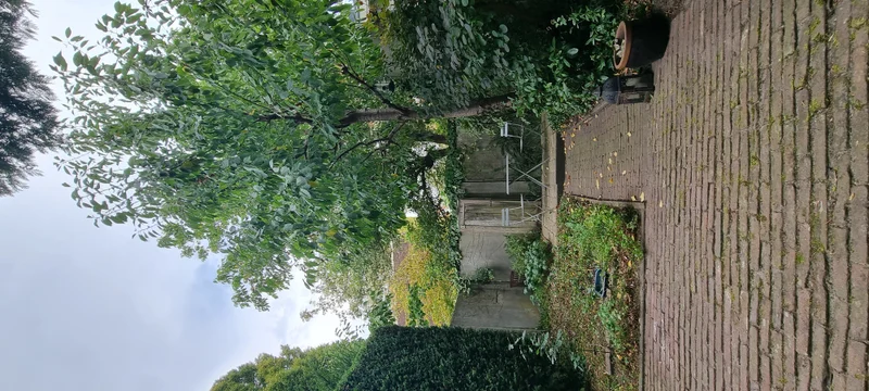 House Exterior