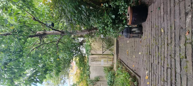 House Exterior