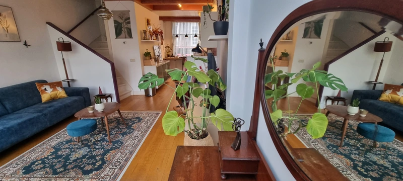 House Image 4