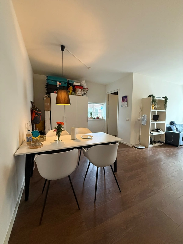 House Image 4