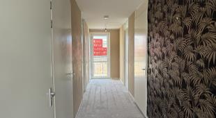 House Image 4