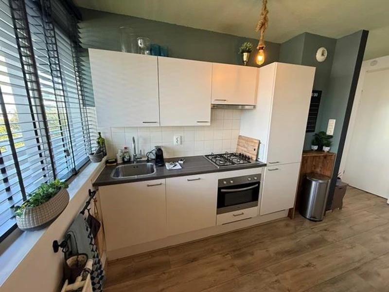 House Image 4