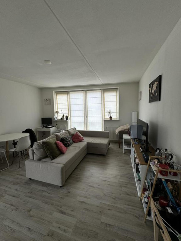 House Image 4