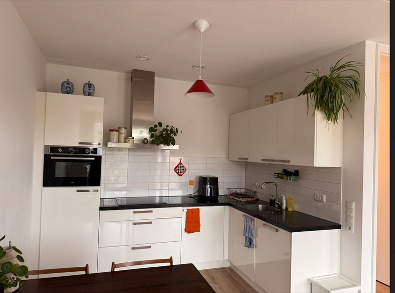 House Image 4