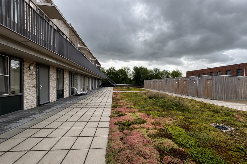 House Exterior