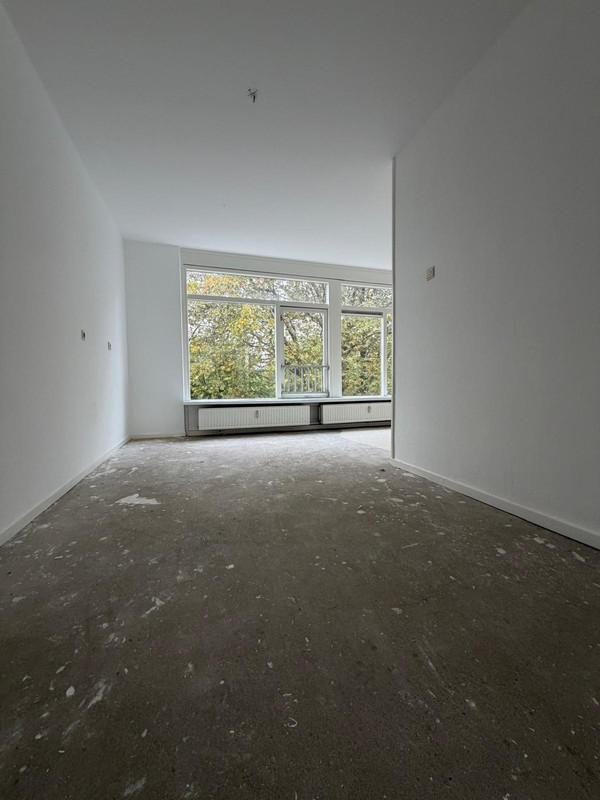 House Image 5