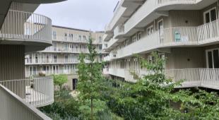 House Image 4