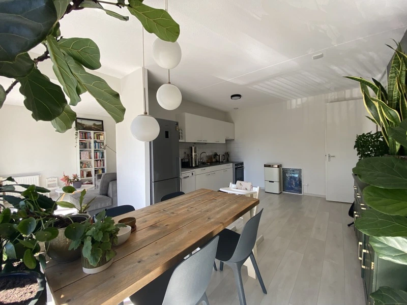 House Image 5