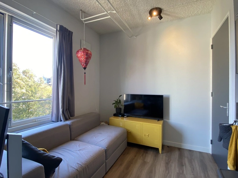 House Image 4