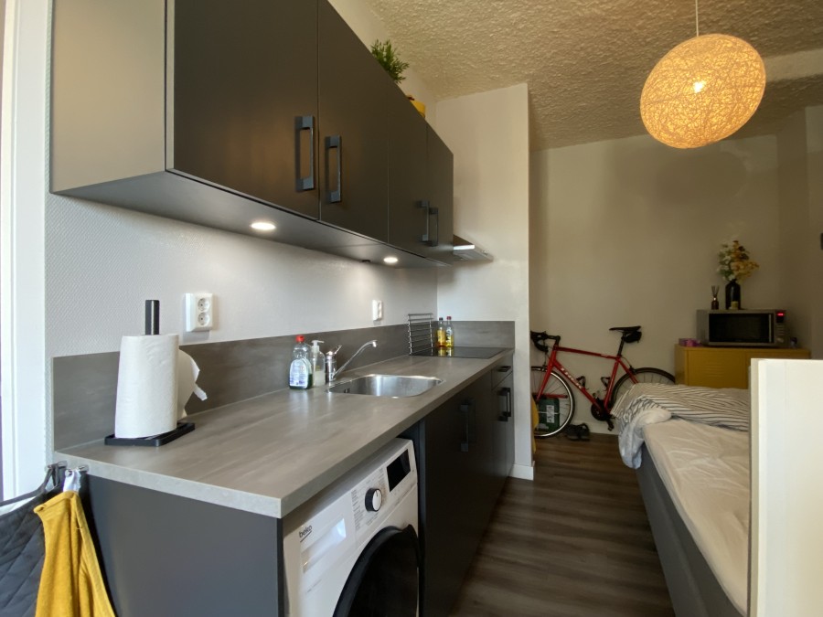 House Image 5