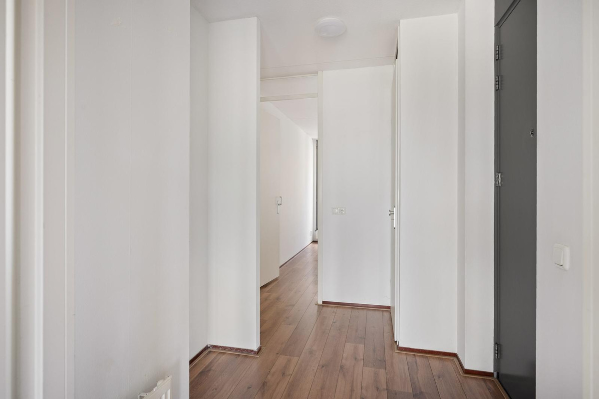 House Image 4
