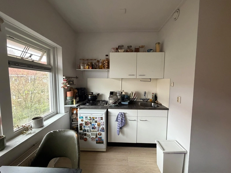 House Image 3