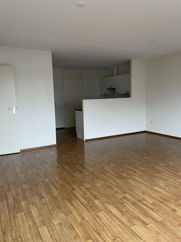 House Image 4