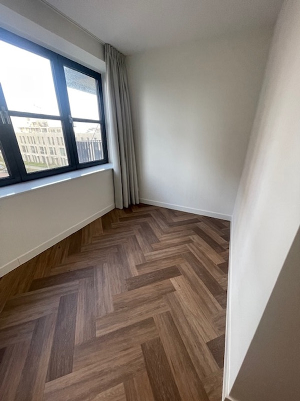 House Image 3