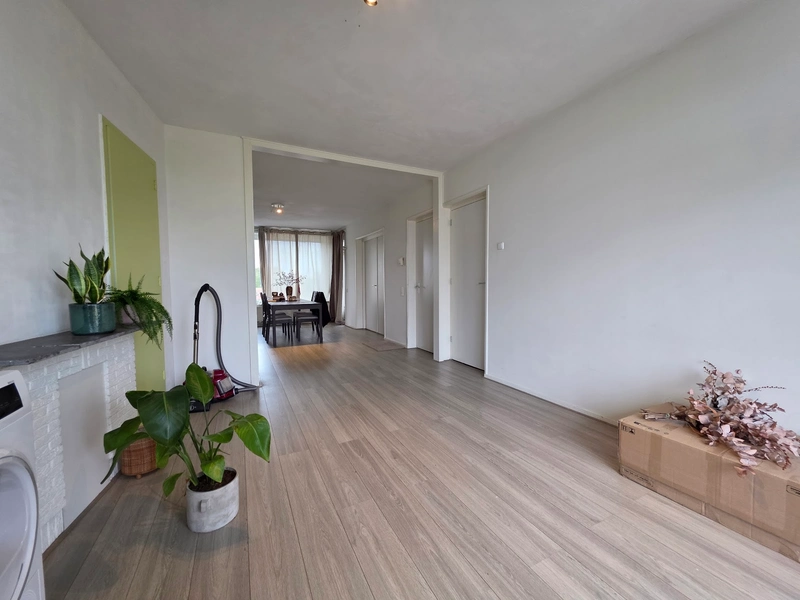 House Image 4