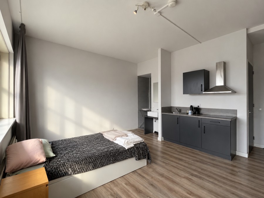 House Image 3