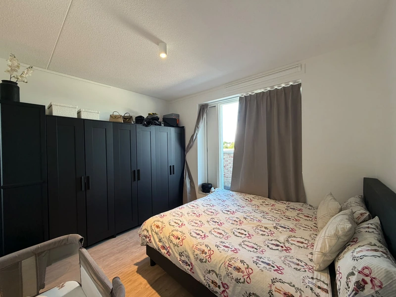 House Image 5
