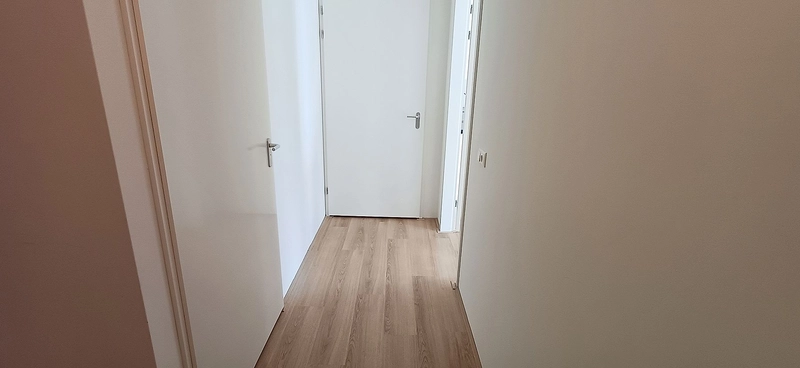 House Image 3