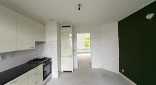 House Image 5