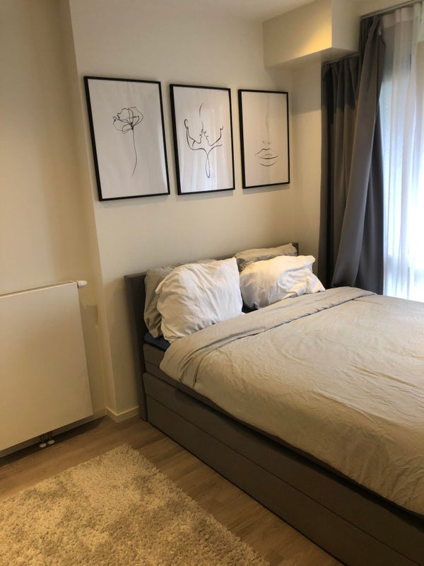 House Image 3