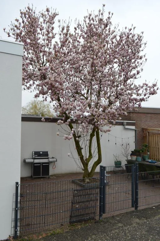 House Image 3