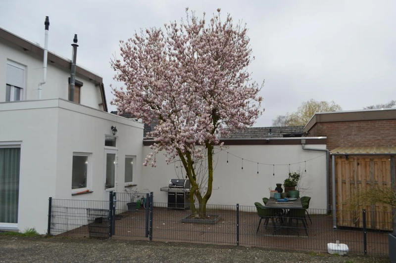 House Exterior