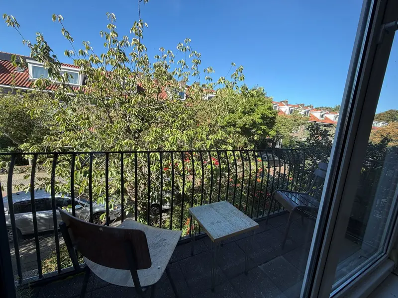 House Image 3