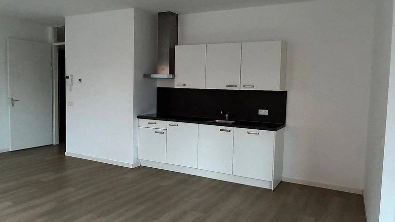 House Image 5