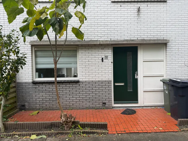 recent house