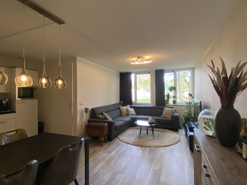House Image 4