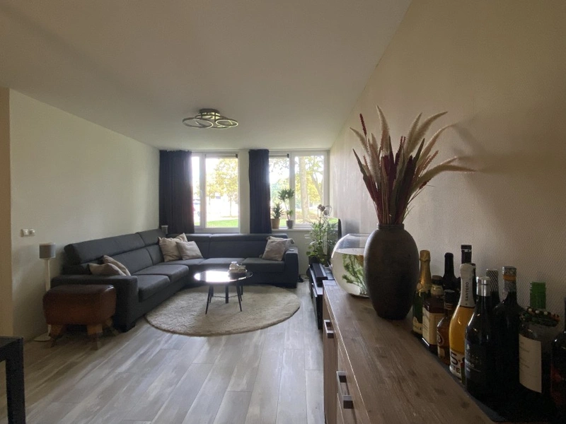 House Image 5