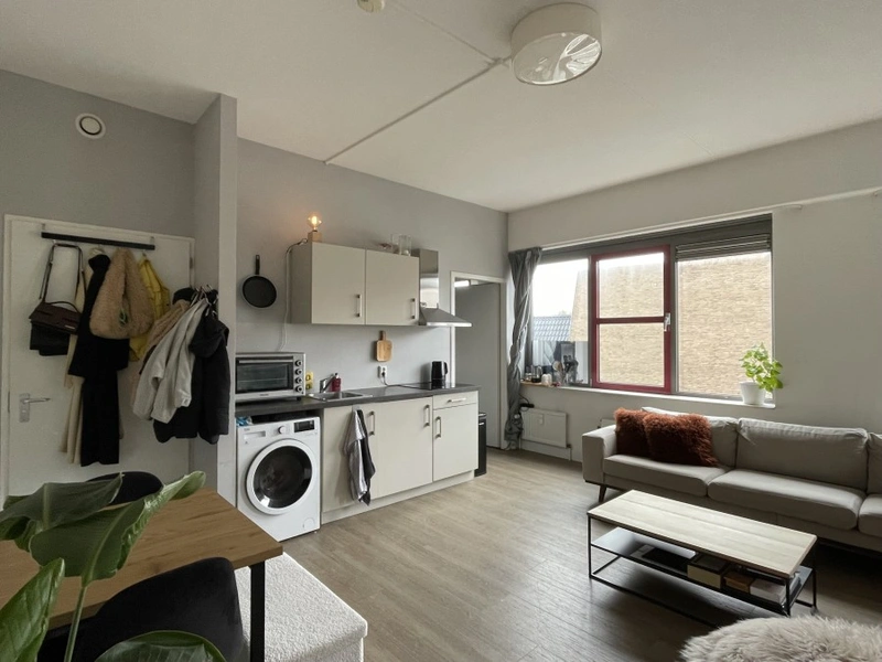 House Image 3