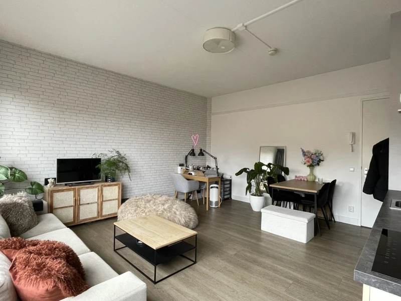 House Image 4