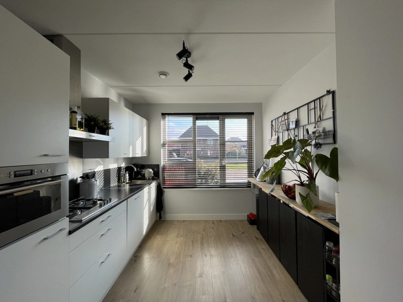 House Image 5