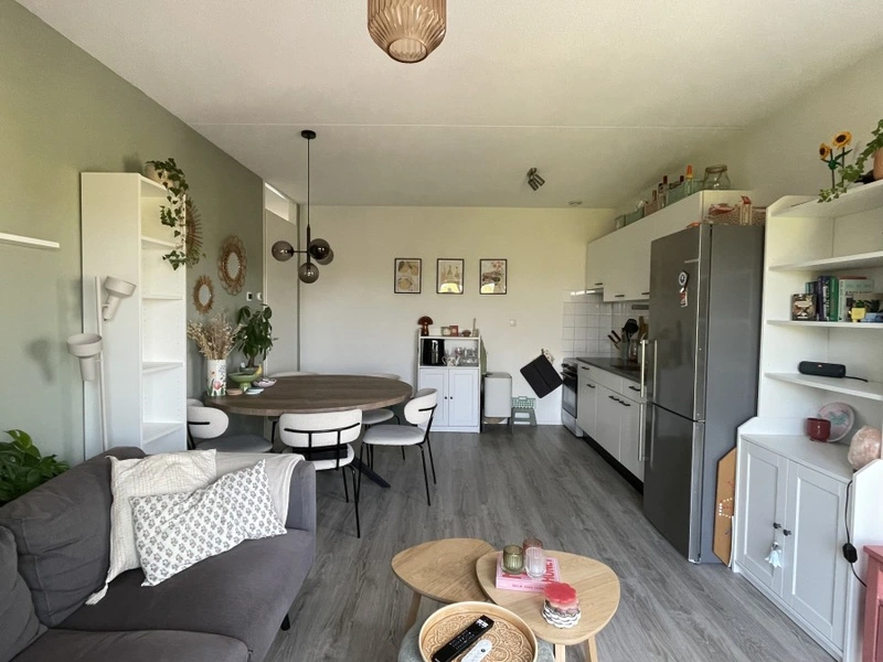 House Image 4