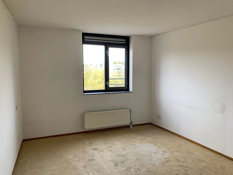 House Image 5