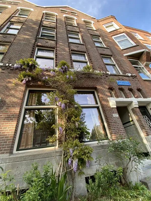 recent house