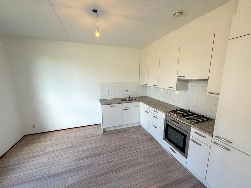 House Image 5
