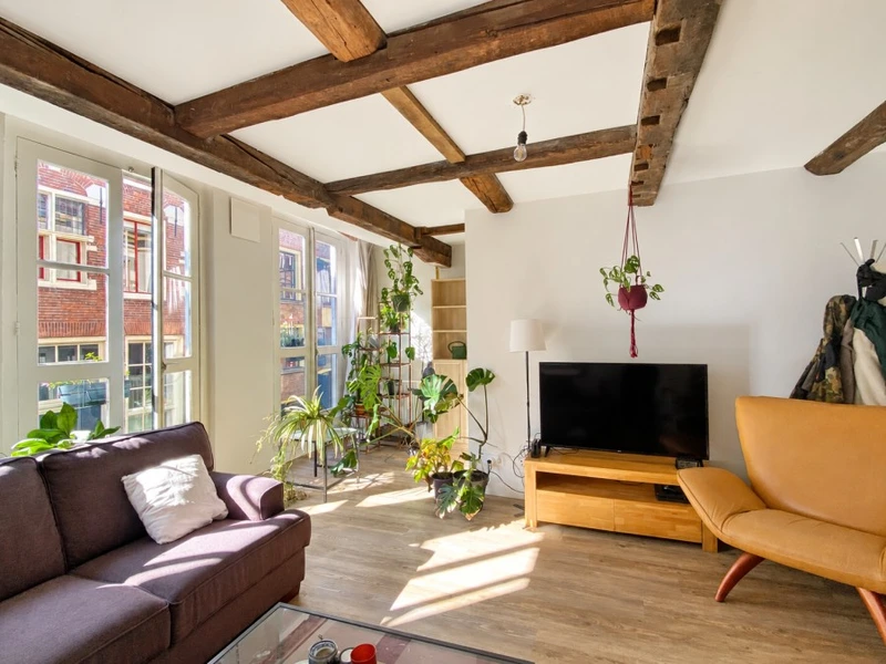 House Image 3