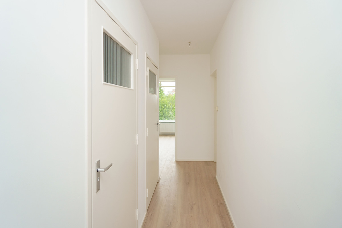House Image 4
