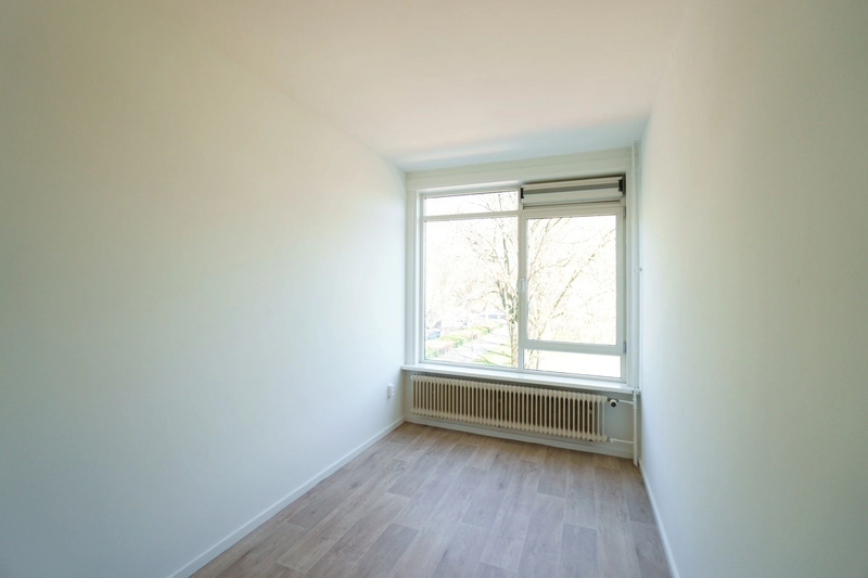 House Image 5