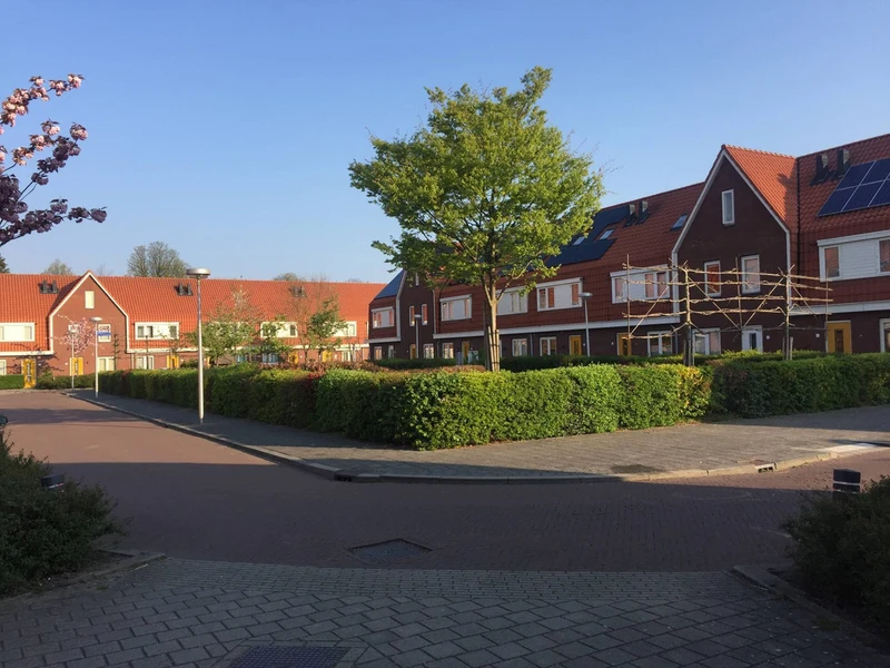 recent house